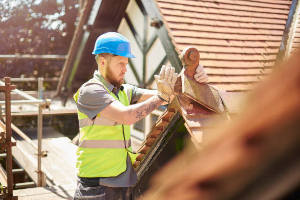 Best Gutter Installation and Roofing  in Monticello, GA