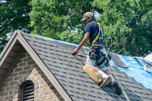 Best Roof Gutter Cleaning  in Monticello, GA